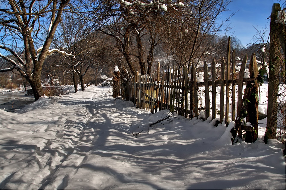 a wooden fence round the garden