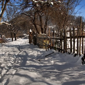 a wooden fence round the garden