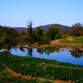 р.Велека
