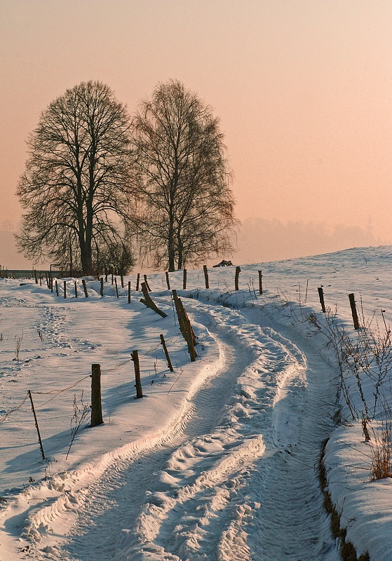 - 18 C