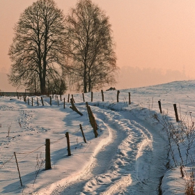 - 18 C