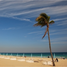 Hollywood - Florida