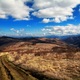 пътя от Терзийско за Шипково