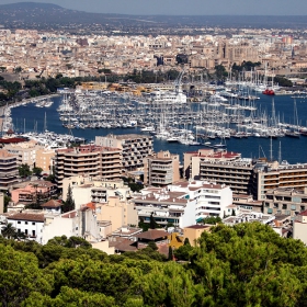 Palma De Mallora