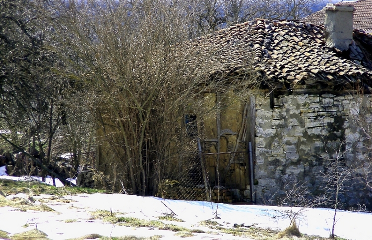 България