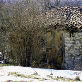 България