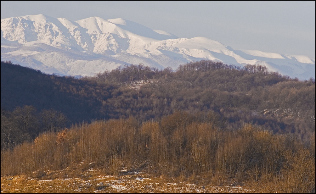 Различните лица на зимата