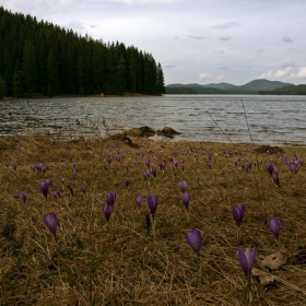 яз.Широка поляна