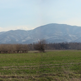 Панорама към Сини връх