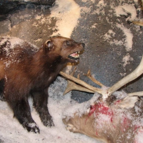 A GOOD COLD MEAL