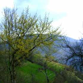 Топлина,,,(2)
