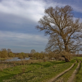 По рибарския път