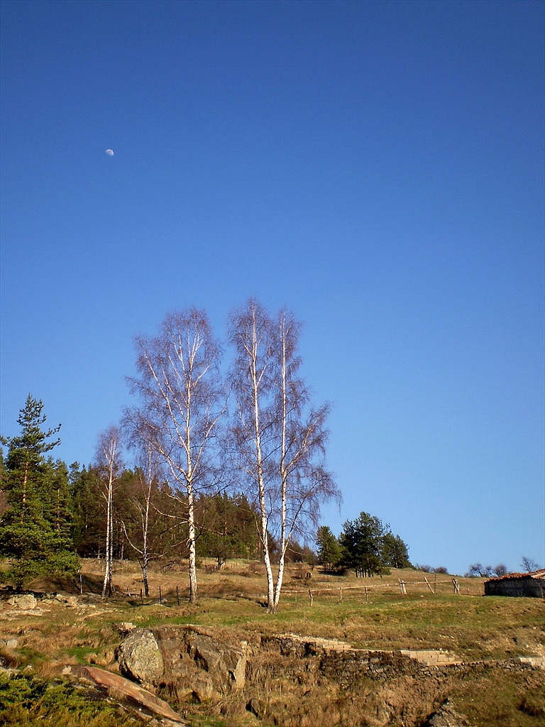 Moonrise