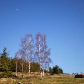 Moonrise
