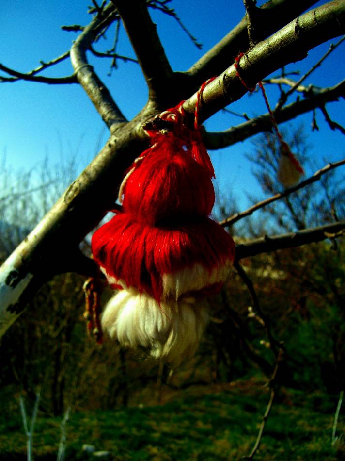 spring