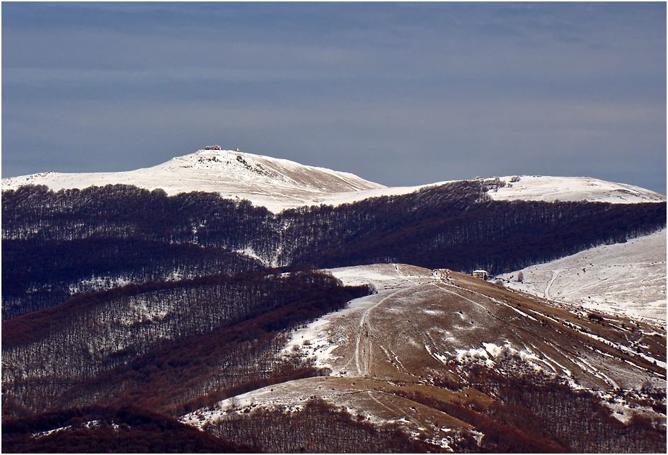 Мургаш