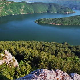 Голямата водна змия