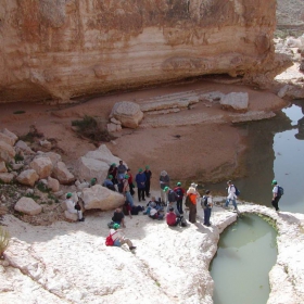 wadi yorke-am