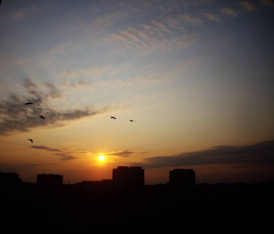 sunset