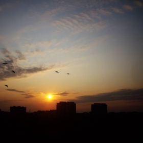 sunset