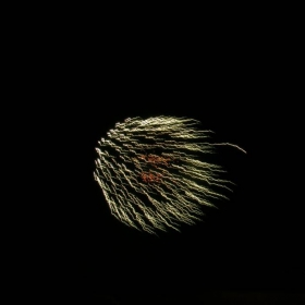 Firework