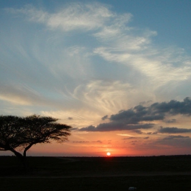 SUNSET IN THE DESERT