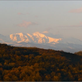 На разсъмване - 03.03.2010г