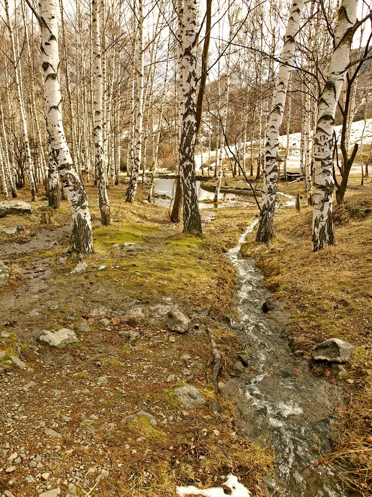 Пролетни мотиви