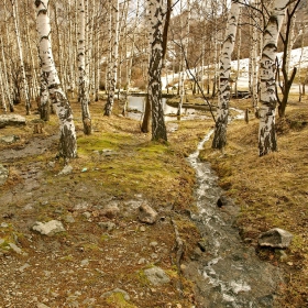 Пролетни мотиви