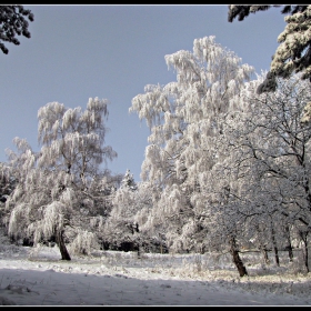 Снежно