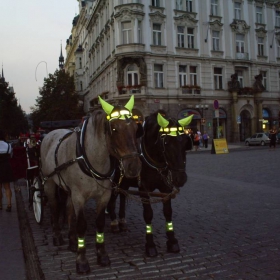 Рогоносци