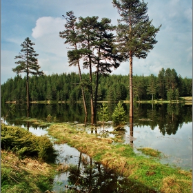 Високи води на Широка поляна