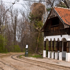 спирка Вишнева