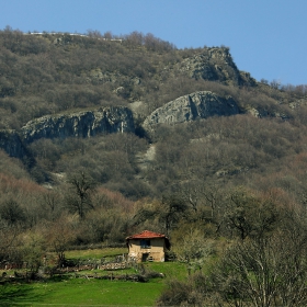 Самотната