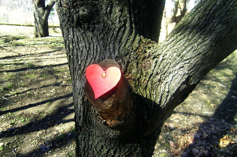 A Piece of Love