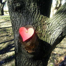 A Piece of Love
