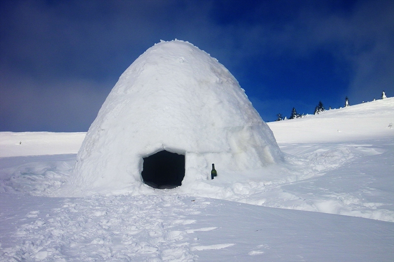 Igloo