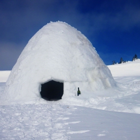 Igloo