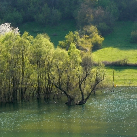 Висока вода