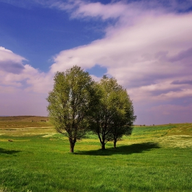 Сакарски красоти