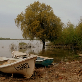 Там, край реката...