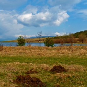 Къртица с две вили край Батак