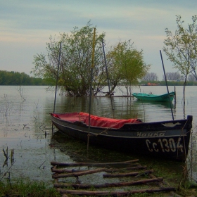 самотни