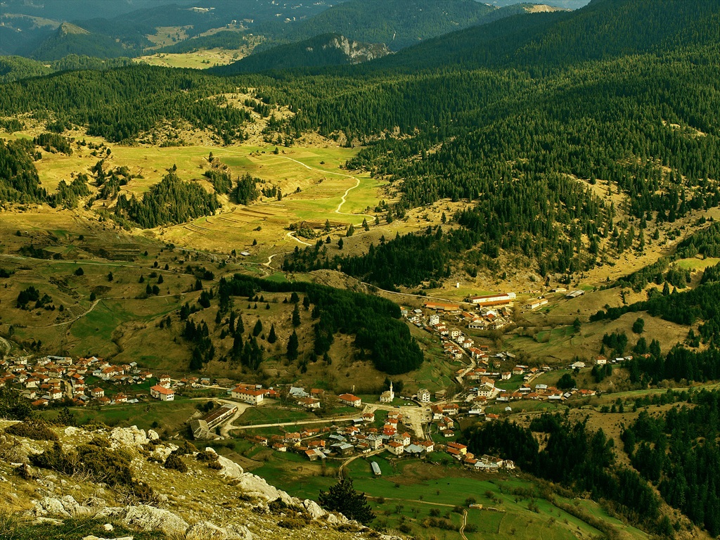 Сгушено селце в планината