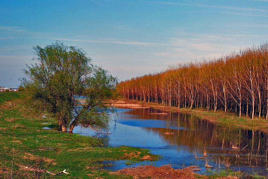 Пролет край реката