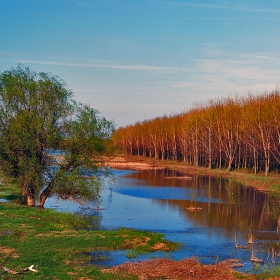Пролет край реката