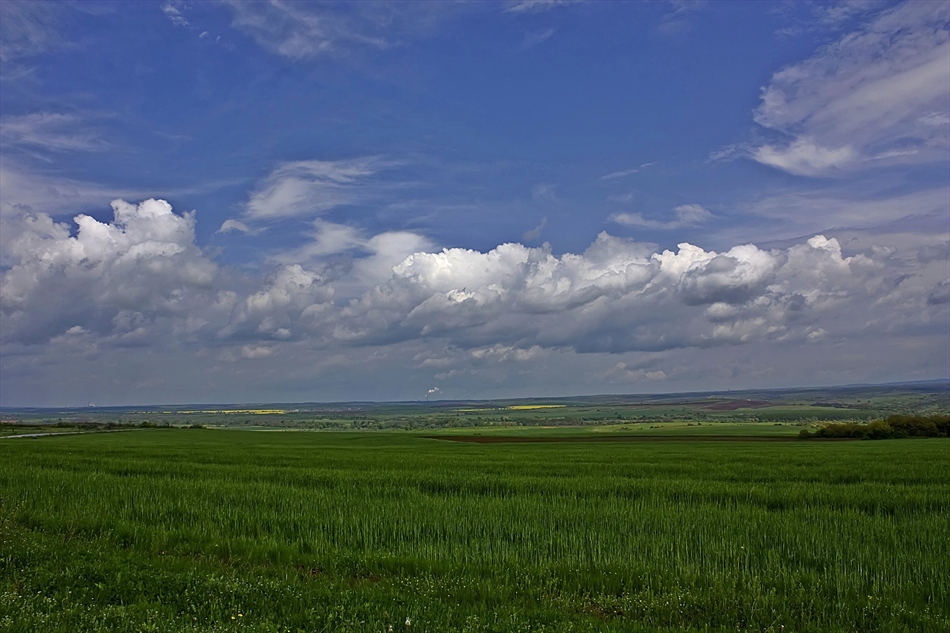 През житата