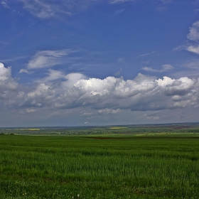 През житата