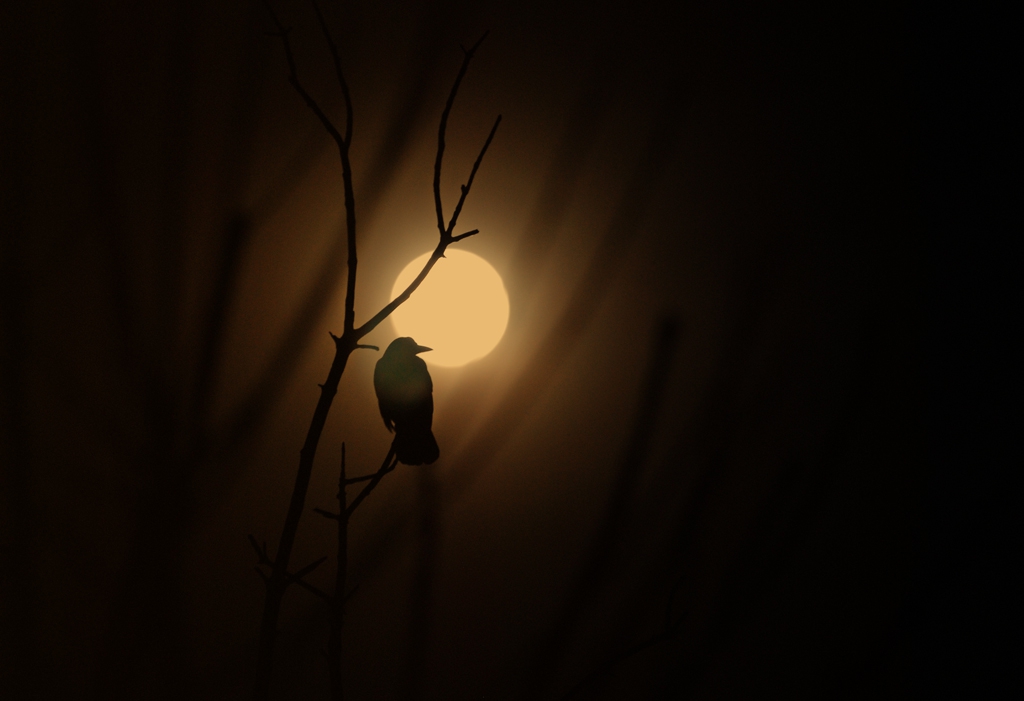 In my darkest hour.