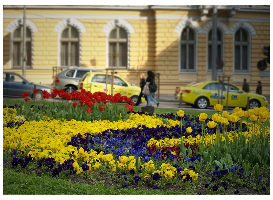 Пролетни софийски тротоари - 2
